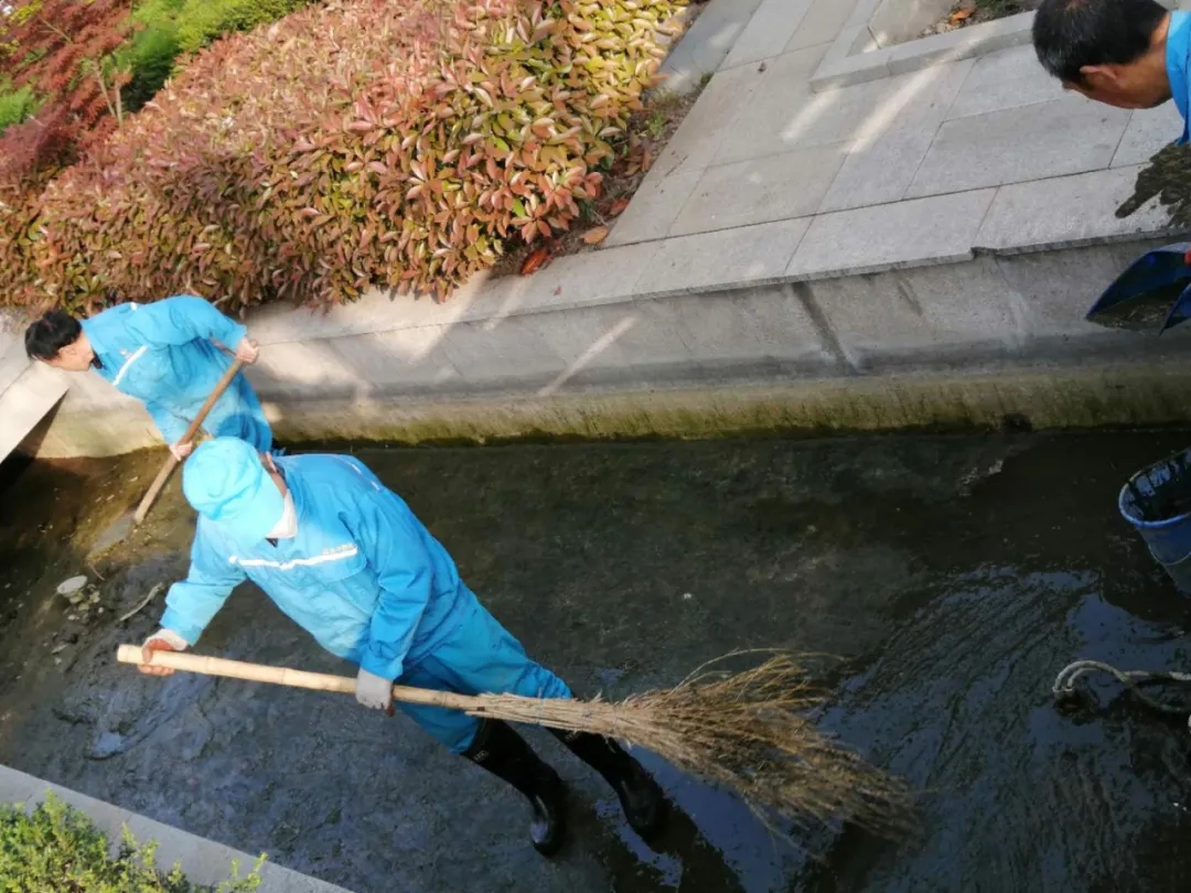 亚丰物业：砍青除杂 清洁河道