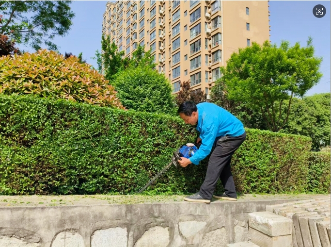 精修细剪护绿景  专业服务焕新颜&mdash;&mdash;亚丰物业开展服务项目绿化修剪专项工作