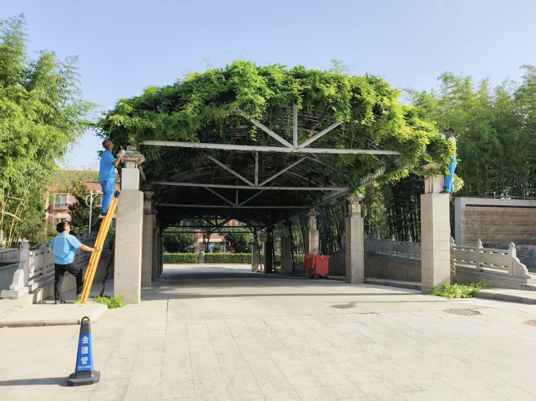 亚丰物业：精耕细作护绿意 匠心守护美家园