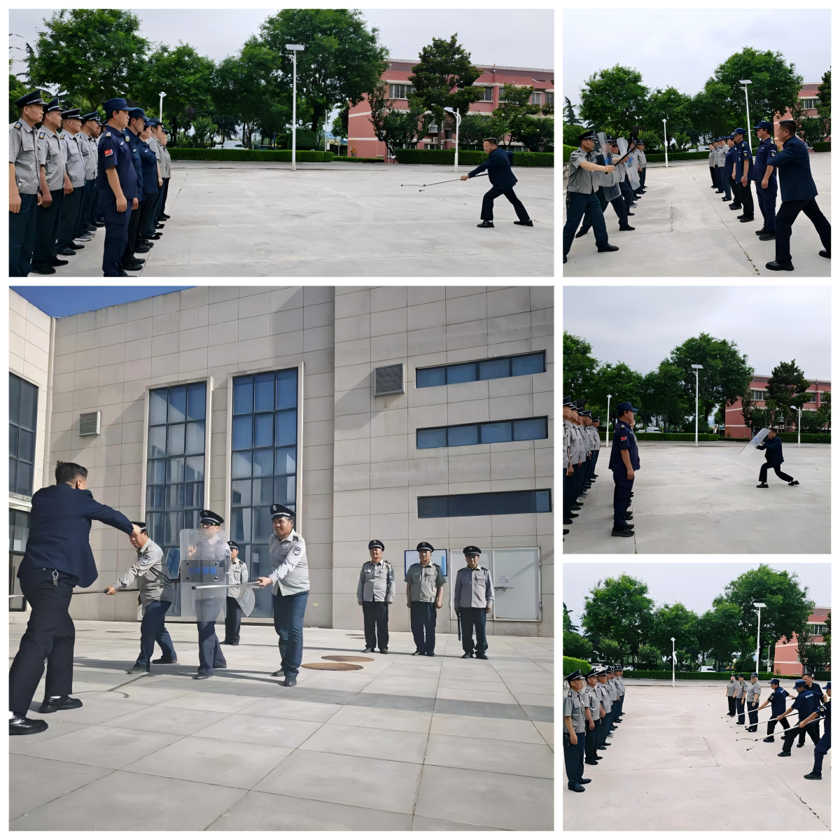 20260529/6a18fa63daa59.png WPS拼图0.png